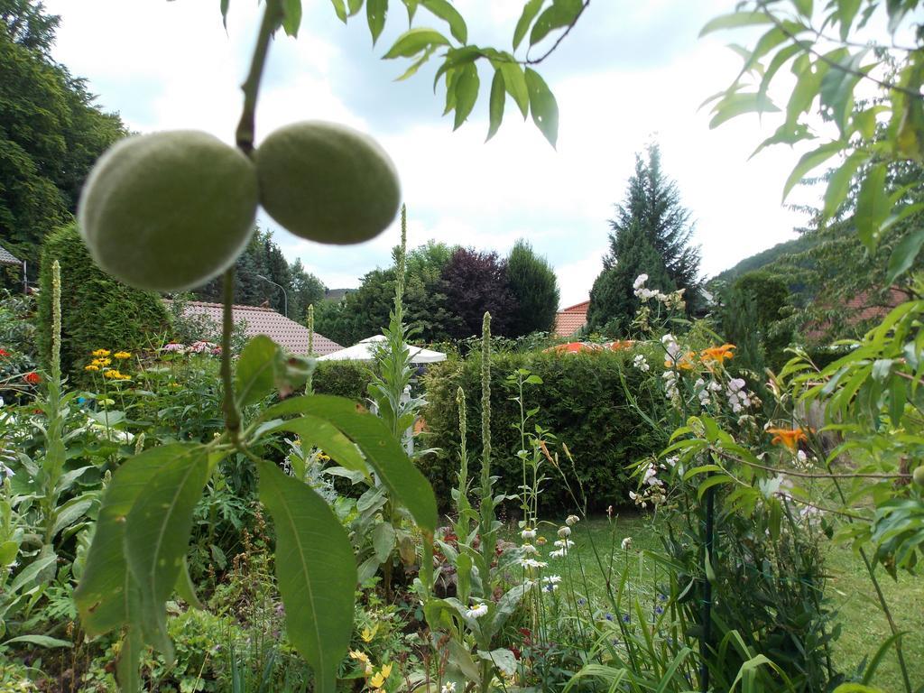 Landhotel Fasanenhof Eschwege Luaran gambar